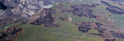 Aerial shot of 1988 Yellowstone fires