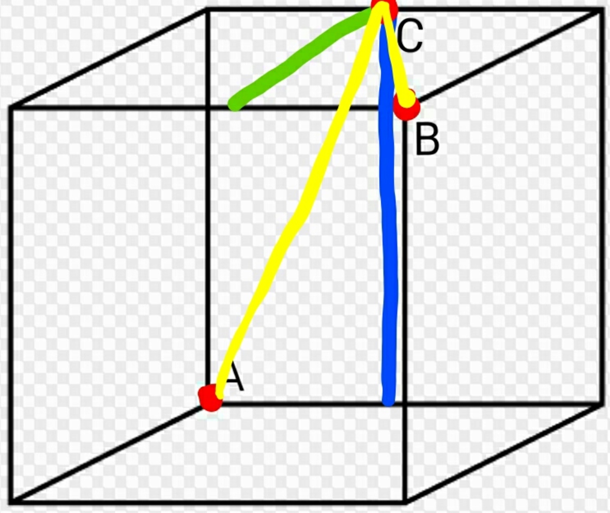 The ant travels along the yellow line